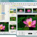 Portable FastStone Image Viewer freeware screenshot