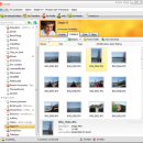 GigaTribe freeware screenshot