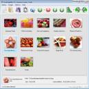 Visual LightBox Free Edition freeware screenshot
