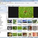 P3dO Explorer freeware screenshot