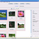 Bloom freeware screenshot