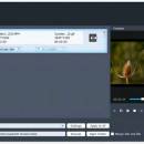 Aiseesoft Video to GIF Converter freeware screenshot