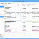Chameleon Task Manager Lite freeware screenshot