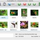 Flickr Gallery for Mac OS freeware screenshot