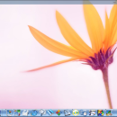 SSuite NetVine LAN Suite freeware screenshot