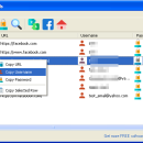 SterJo Browser Passwords freeware screenshot