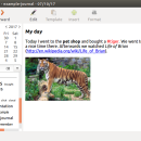 RedNotebook for Mac OS X freeware screenshot
