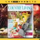 Firework Flash Magazine Templates freeware screenshot