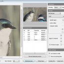 Ximagic Denoiser for Windows (x32 bit) freeware screenshot