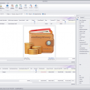 akaEasyMoney freeware screenshot