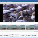 Free Video to GIF Converter freeware screenshot