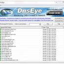 DnsEye freeware screenshot