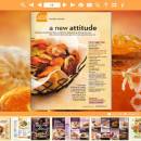 PDF to Flash templates of Orange style freeware screenshot