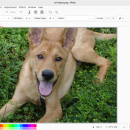 Pinta for Linux freeware screenshot