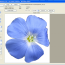 MosaicArtSoftware freeware screenshot