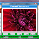 SSuite Office Gif Animator freeware screenshot