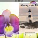 Page Flip Book Template - Smell Style freeware screenshot