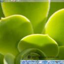 MAC DOCK freeware screenshot