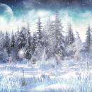 Winter Snow Animated Wallpaper freeware screenshot