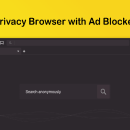 Kingpin Private Browser freeware screenshot
