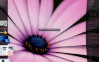 Emerge Desktop 64bit freeware screenshot