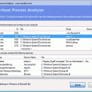 Svchost Process Analyzer freeware screenshot