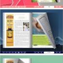 Flipbook_Themes_Package_Classical_Simple freeware screenshot