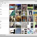 The Image Collector freeware screenshot