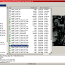 Dragon UnPACKer freeware screenshot