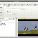 Free Screencast freeware screenshot