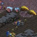 Starcraft Brood War Patch freeware screenshot