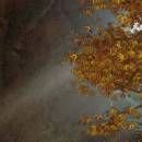 ANIMATED FOREST TREE freeware screenshot