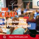 Killexams IIBA CBAP Exam Dumps 2024 freeware screenshot