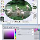 HeliosPaint for Mac freeware screenshot