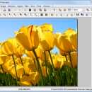 PhotoFiltre Portable freeware screenshot