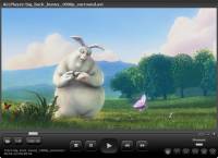 ALLPlayer portable freeware screenshot