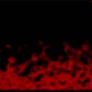 SaversPlanet Flame Screensaver freeware screenshot