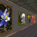 Phota Flowers Screensaver freeware screenshot