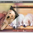 Free non flash page flip maker freeware screenshot