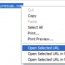 IE Open Selected URL freeware screenshot