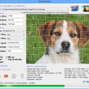 AndreaMosaic for Mac freeware screenshot