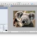 Free Image Editor for Mac freeware screenshot