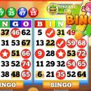 Bingo! for PC Download freeware screenshot