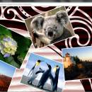 Free Photo Collage Maker for Window freeware screenshot