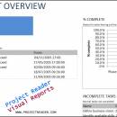 ProjectViewerReport Project Overview Report freeware screenshot