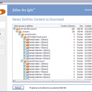 Zenfolio Downloader freeware screenshot