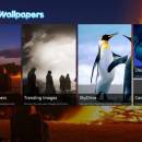 Daily Wallpapers freeware screenshot