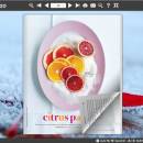 Page Flip Book Frost Style freeware screenshot