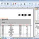 SmartVizor Bill Statement Batch Printing Software freeware screenshot