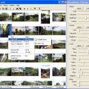 PictureRelate freeware screenshot